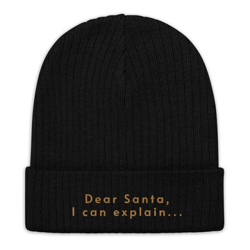 Dear Santa Beanie